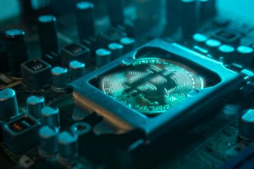 Portret użytkowników kryptowalut