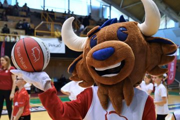 Koszykarska #AleAkcja z Pekao dobiegła końca. Zwycięzcy zostali wyłonieni