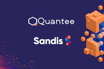 Dwa polskie insurtechy – Sandis i Quantee – łączą siły