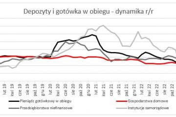 Depozyty i kredyty w końcu maja 2023. NBP pokazał dane