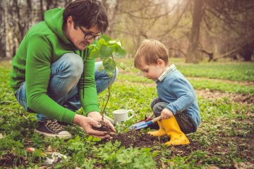 VeloBank posadzi niemal 6 tys. drzew w imieniu swoich klientów