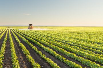 PKO Bank Polski kontynuuje swoje zaangażowanie na rzecz finansowania rolnictwa