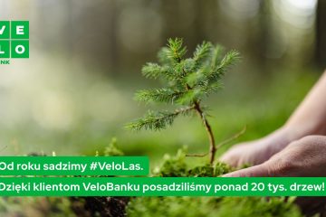Klienci VeloBanku sadzą las. Rośnie w nim już dwa razy więcej drzew niż w Łazienkach Królewskich