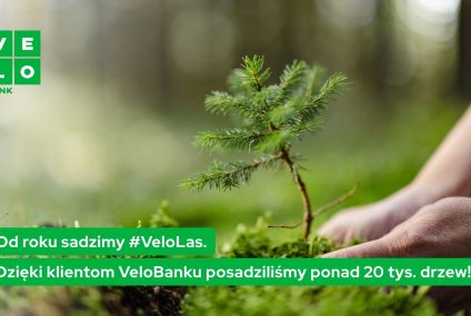 Klienci VeloBanku sadzą las. Rośnie w nim już dwa razy więcej drzew niż w Łazienkach Królewskich