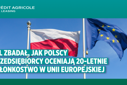 UE namieszała na polskim rynku leasingu. Przedsiębiorcy częściej leasingują pojazdy ciężkie i maszyny budowlane, a rzadziej sprzęt medyczny