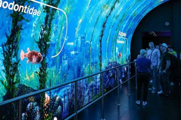 PKO Bank Polski współfinansował budowę nowego parku wodnego w Szczecinie