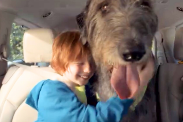 Provident Polska w nowej kampanii reklamowej pomaga spełniać duże marzenia