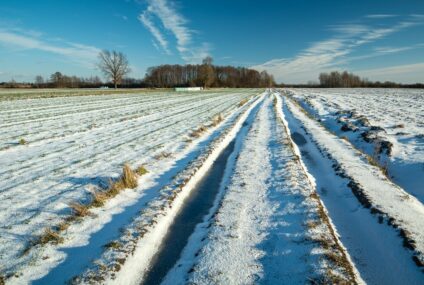 AGRO Ubezpieczenia rozpoczęły jesienną sprzedaż ubezpieczeń upraw rolnych