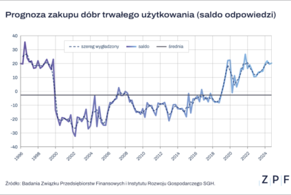 ZPF o Black Friday 2024: Więcej Polaków niż przed rokiem planuje wydatki na dobra trwałe