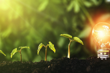 Green Impact – PKO Bank Polski szuka startupów z innowacjami dla klimatu