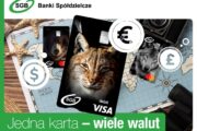 Banki spółdzielcze SGB wprowadziły usługę wielowalutowości