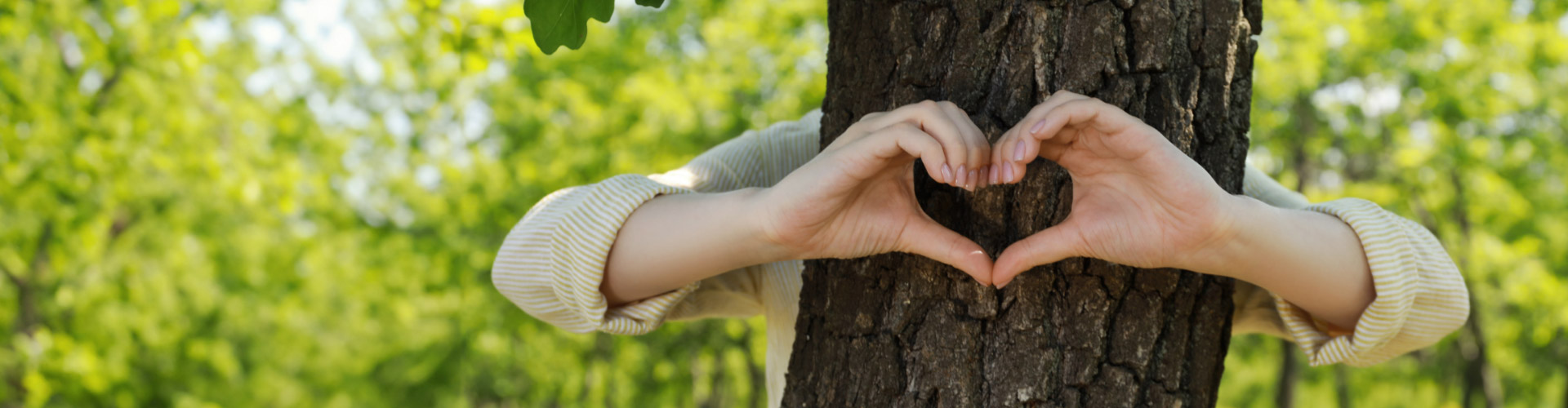 VeloBank rozszerzy zakres akcji „Sadzimy i chronimy razem #VeloLas”. Uruchomi Klub Patronacki dla swoich klientów