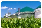 Polski biogaz z kredytem w PKO BP i BGK