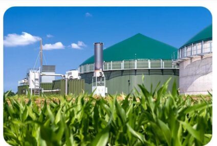 Polski biogaz z kredytem w PKO BP i BGK