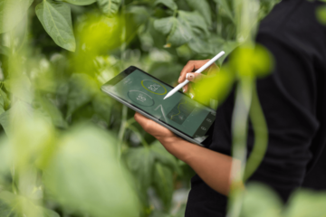 Raport „Eko-indeks Millennium”: Małopolska ponownie liderem ekoinnowacji w Polsce