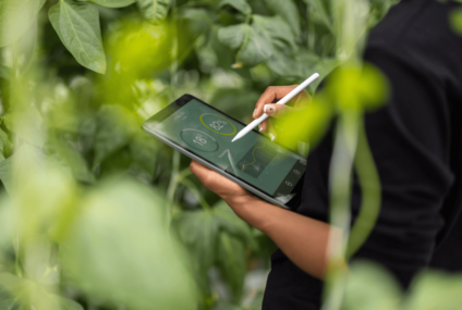 Raport "Eko-indeks Millennium": Małopolska ponownie liderem ekoinnowacji w Polsce