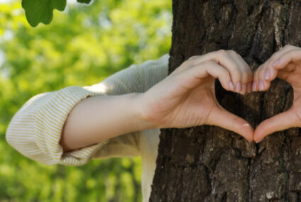 VeloBank wzmacnia działania ESG dzięki akcji „Sadzimy i chronimy razem #VeloLas”