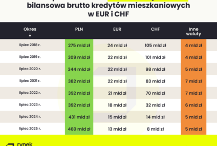 Kredyty w euro więcej warte niż „frankowe”?