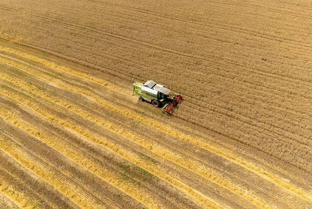 PKO BP podpisał umowę finansowania konsorcjalnego z Carmistin The Food Company