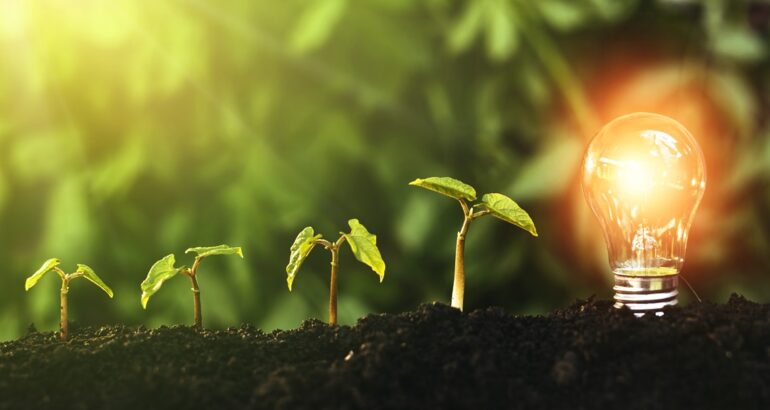 Let’s Fintech with PKO Bank Polski: ponad 100 pilotaży ze startupami, połowa zakończona wdrożeniem