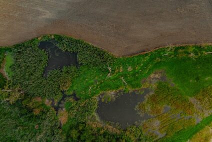 Pierwszy bank w Polsce z celami SBTi i 6,4 mld zł na OZE. mBank podsumowuje 2025 rok w obszarze ESG