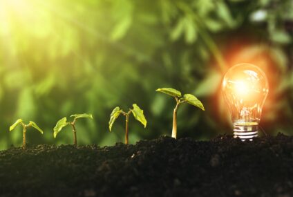 PKO Bank Polski prowadzi 28 pilotaży ze startupami